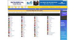 Desktop Screenshot of ie.the-local-job.com